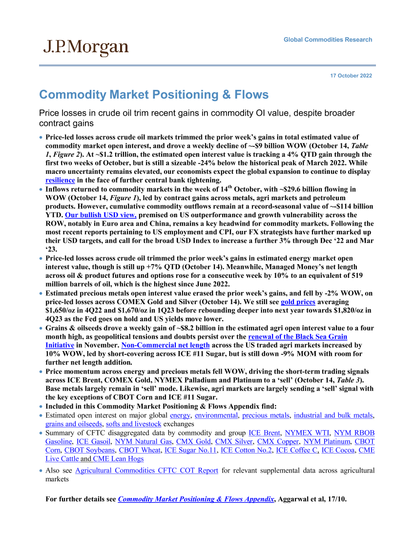 JPMorgan Econ  FI-Commodity Market Positioning  Flows  Price losses in crude...JPMorgan Econ  FI-Commodity Market Positioning  Flows  Price losses in crude..._1.png